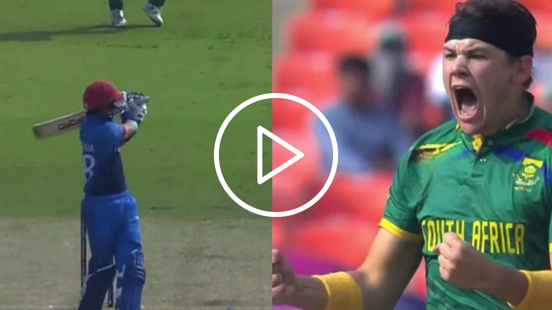 [Watch] Coetzee Aggressively Celebrates After Eliminating AFG's Ibrahim Zadran Early